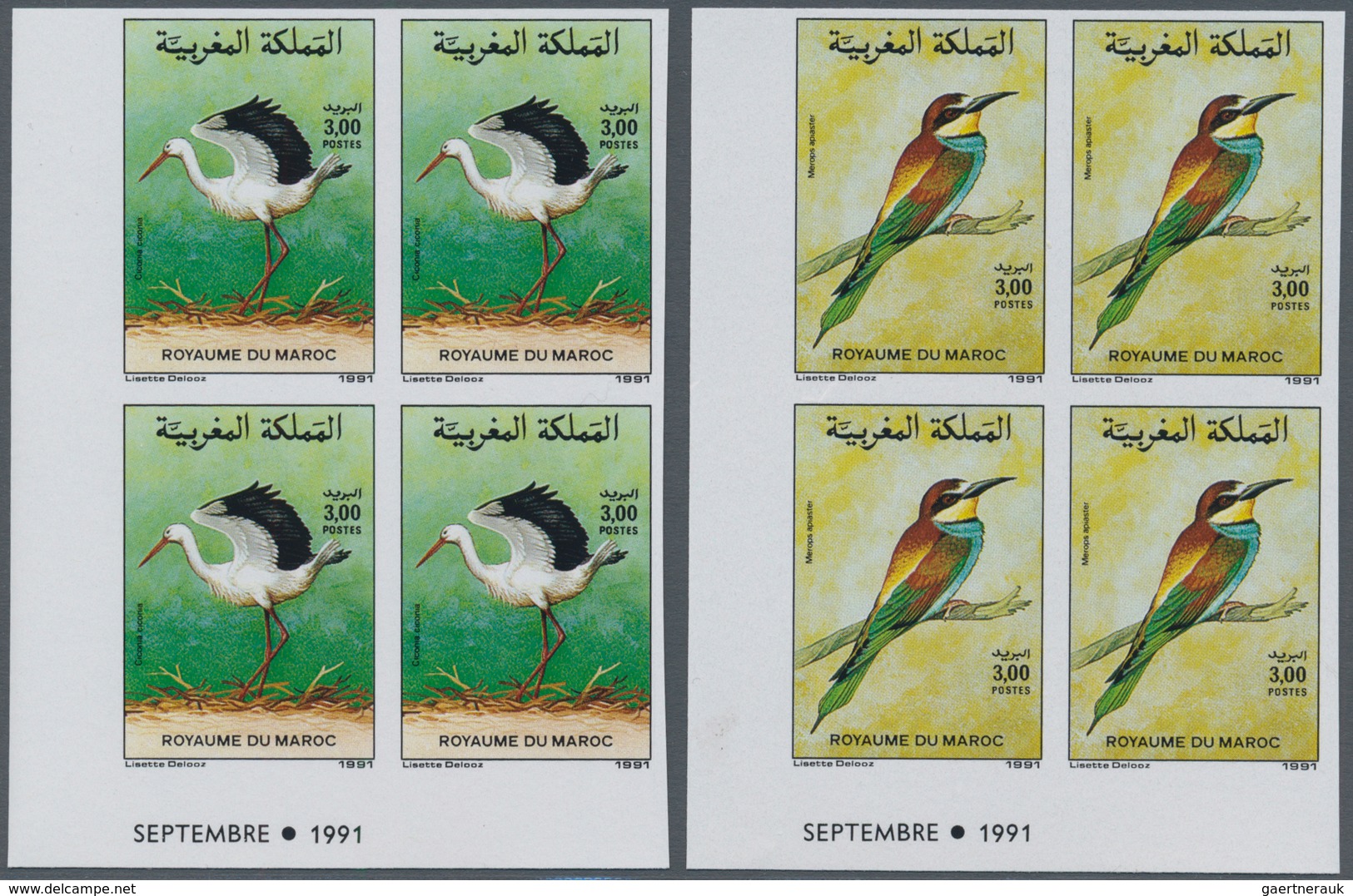 Thematik: Tiere-Vögel / Animals-birds: 1991, MOROCCO: Birds Set Of Two 3.00dh. ‚Ciconia Ciconia‘ And - Sonstige & Ohne Zuordnung