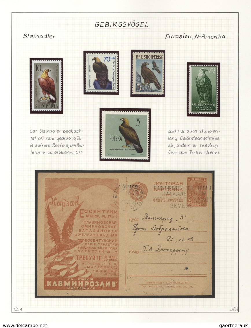 Thematik: Tiere-Vögel / Animals-birds: Comprehensive Collection BIRDS, Sorted By Habitates And Well - Sonstige & Ohne Zuordnung