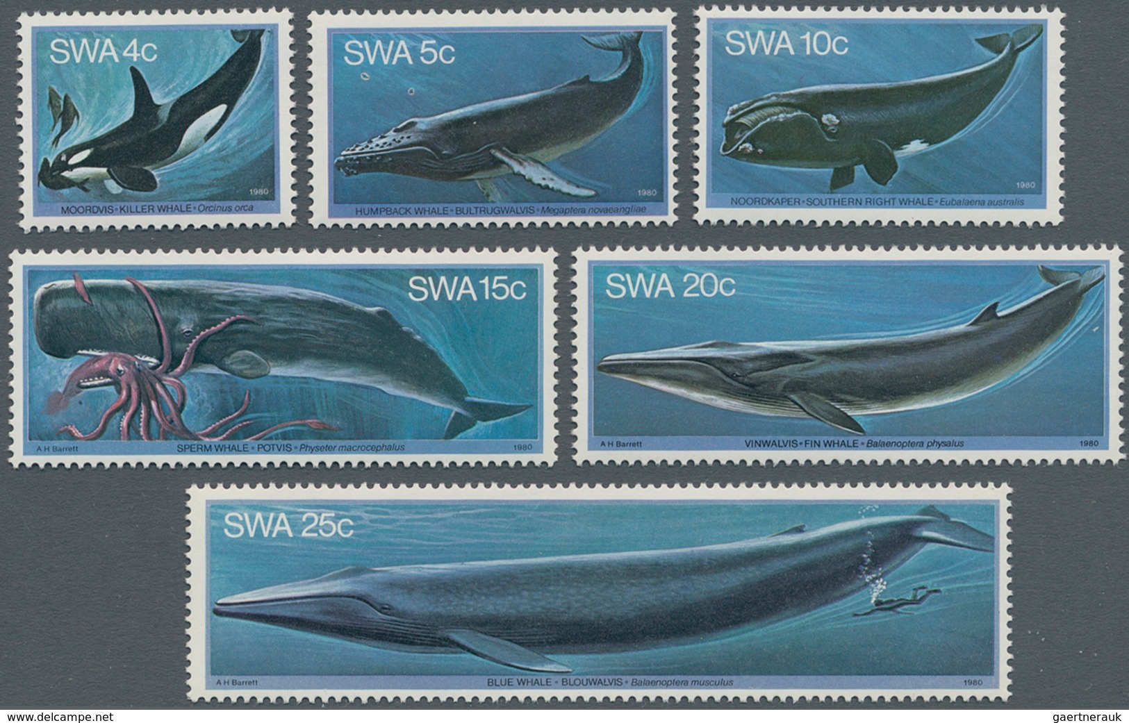 Thematik: Tiere-Meeressäuger (u.a. Wale) / Animals-aquatic Mammals: 1980, SOUTH WEST AFRICA: Whales - Sonstige & Ohne Zuordnung