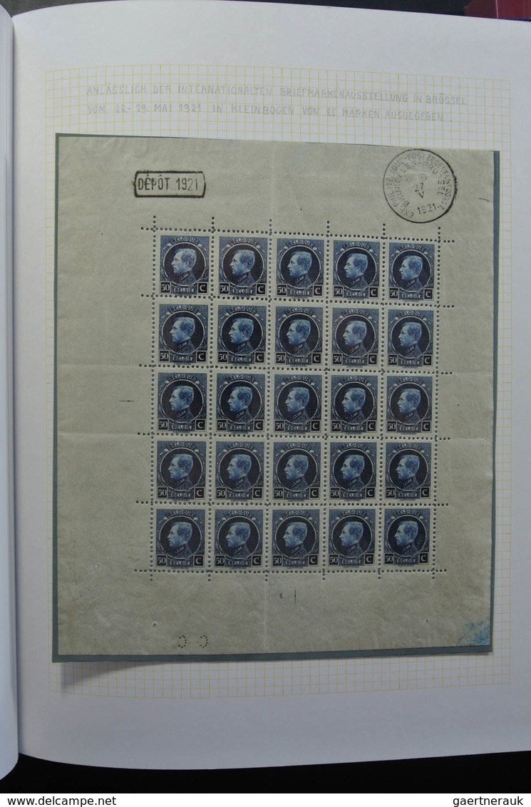 Belgien: 1915-1930: Very well filled, MNH, mint hinged and used, partly double collection Belgium 19