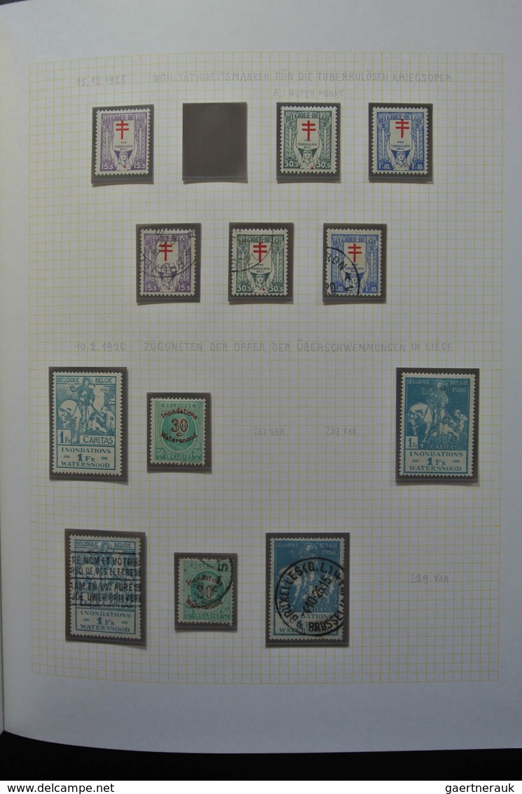 Belgien: 1915-1930: Very well filled, MNH, mint hinged and used, partly double collection Belgium 19