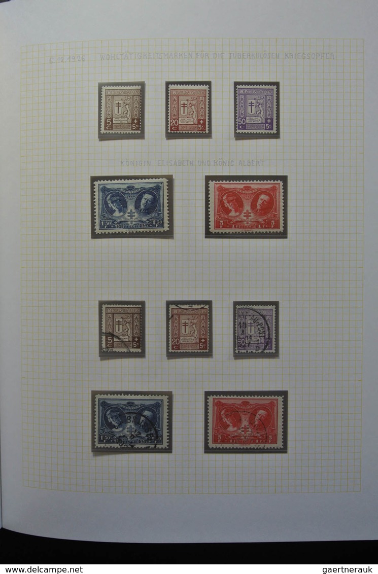 Belgien: 1915-1930: Very well filled, MNH, mint hinged and used, partly double collection Belgium 19