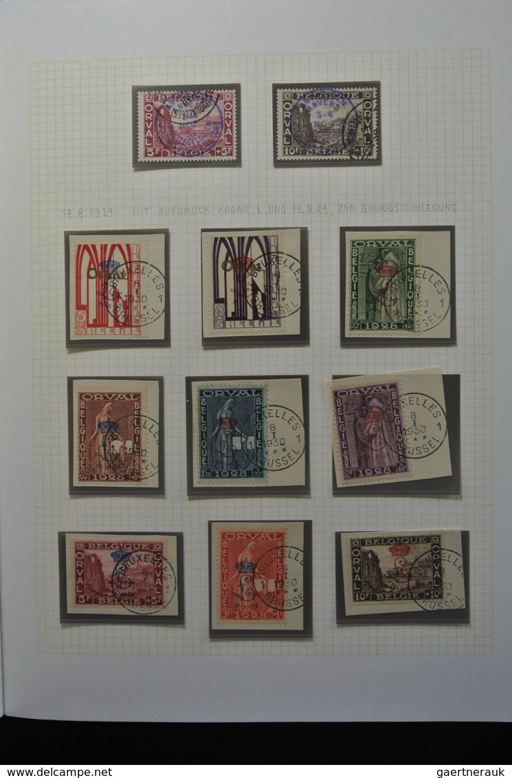 Belgien: 1915-1930: Very well filled, MNH, mint hinged and used, partly double collection Belgium 19