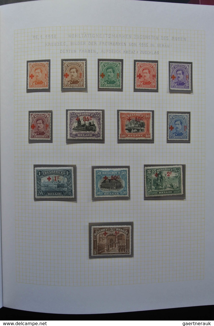 Belgien: 1915-1930: Very well filled, MNH, mint hinged and used, partly double collection Belgium 19