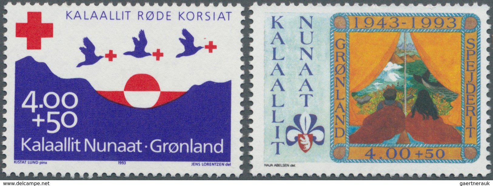 Dänemark - Grönland: 1993, 70 Years RED CROSS And 50 Years SCOUTING In Greenland Set Of Two In A Lar - Briefe U. Dokumente