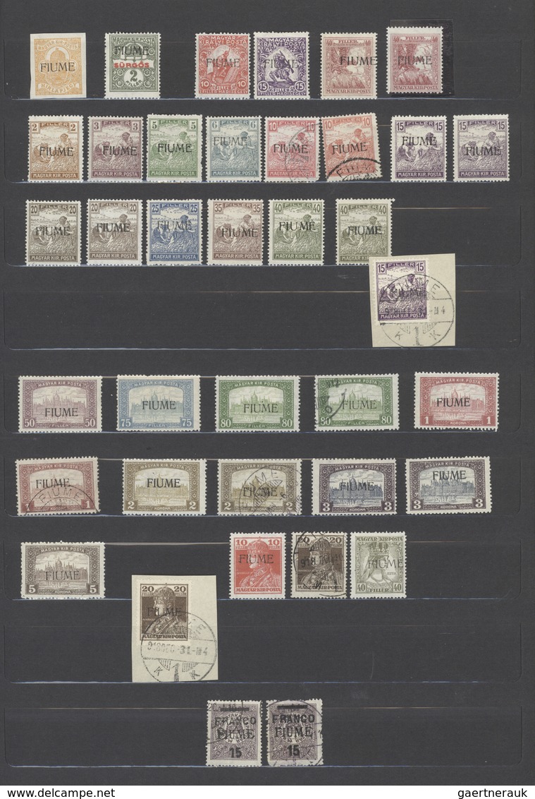 Fiume: 1918/1924, Mint And Used Collection On Large Stockcards, Well Sorted And Filled Throughout Wi - Fiume