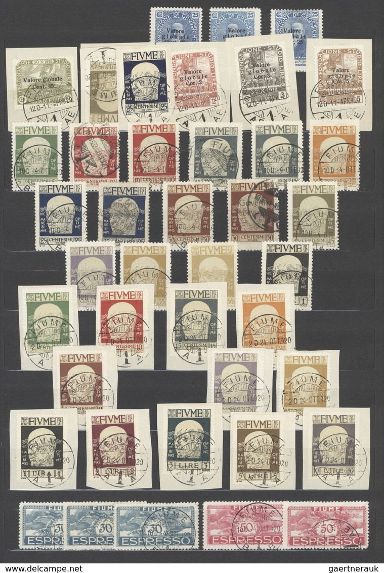 Fiume: 1918/1924, Mint And Used Collection On Large Stockcards, Well Sorted And Filled Throughout Wi - Fiume