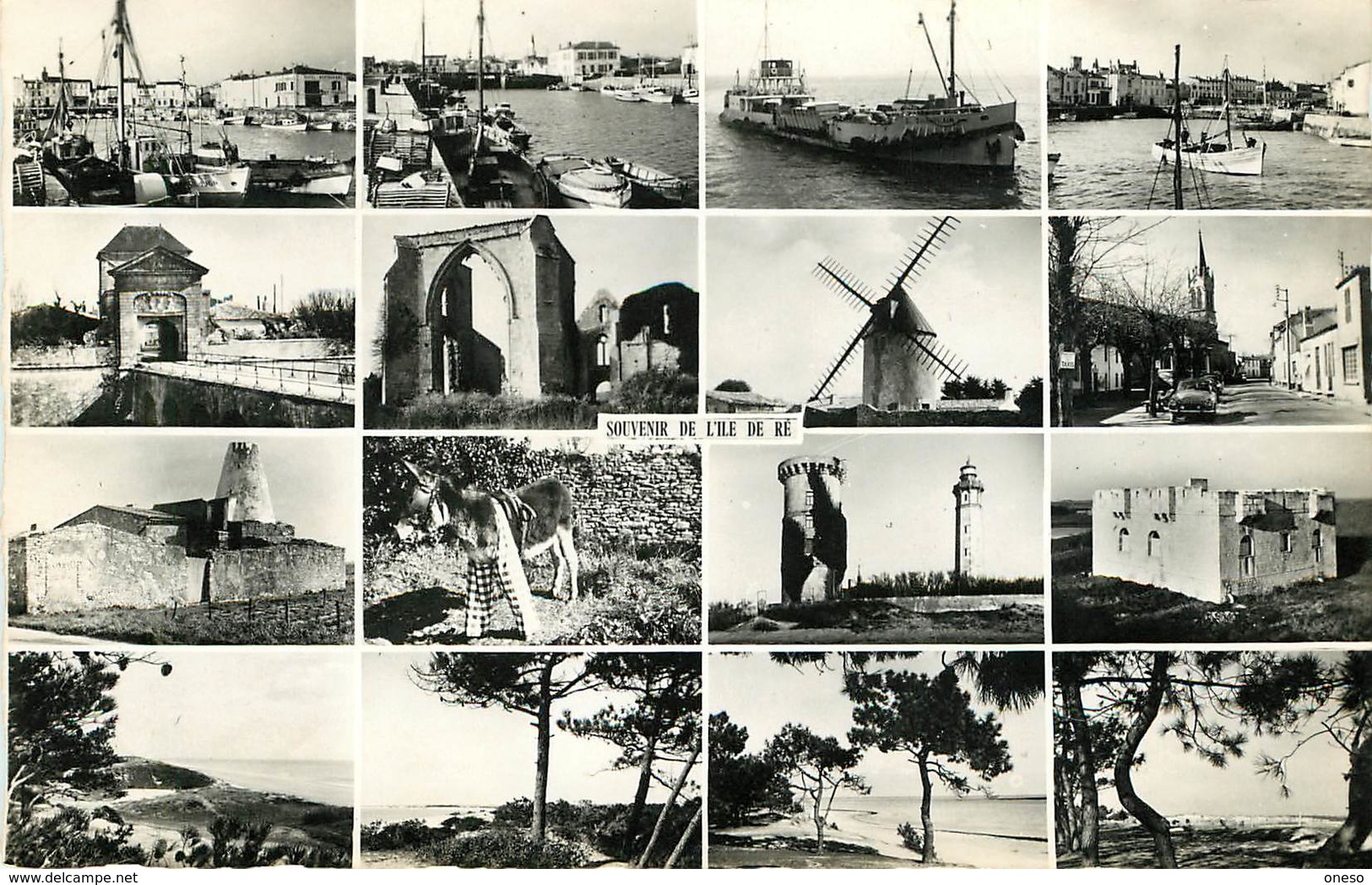 Charente Maritime - Lot N°424 - Ile de Ré - Lots en vrac - Lot de 224 cartes