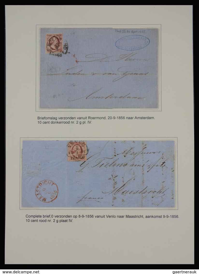 Niederlande: 1852: Nice, extensive, on color and plate specialised collection Netherlands issue 1852