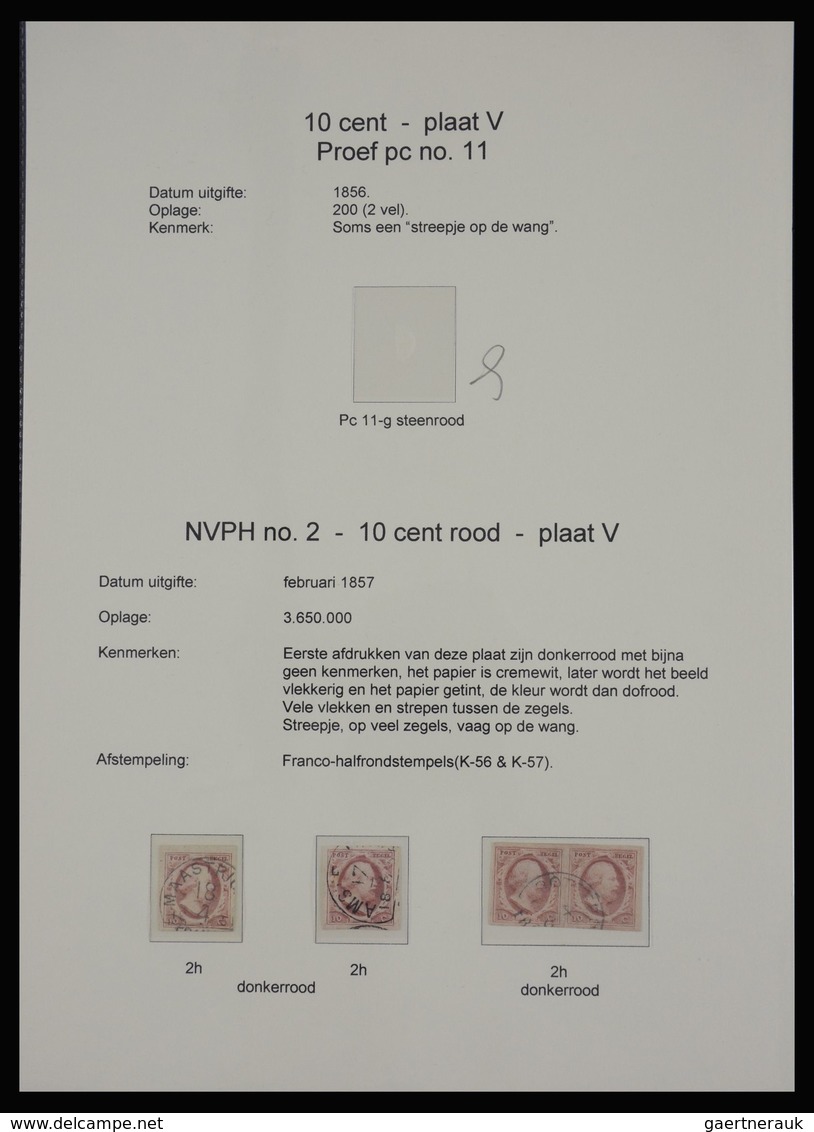 Niederlande: 1852: Nice, extensive, on color and plate specialised collection Netherlands issue 1852