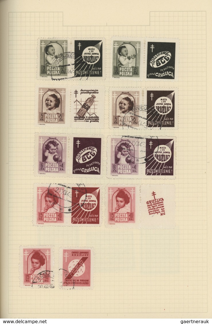 Polen: 1944/1967, Used And Mint Collection In Two Binders, Neatly Arranged On Album Pages And Well C - Covers & Documents