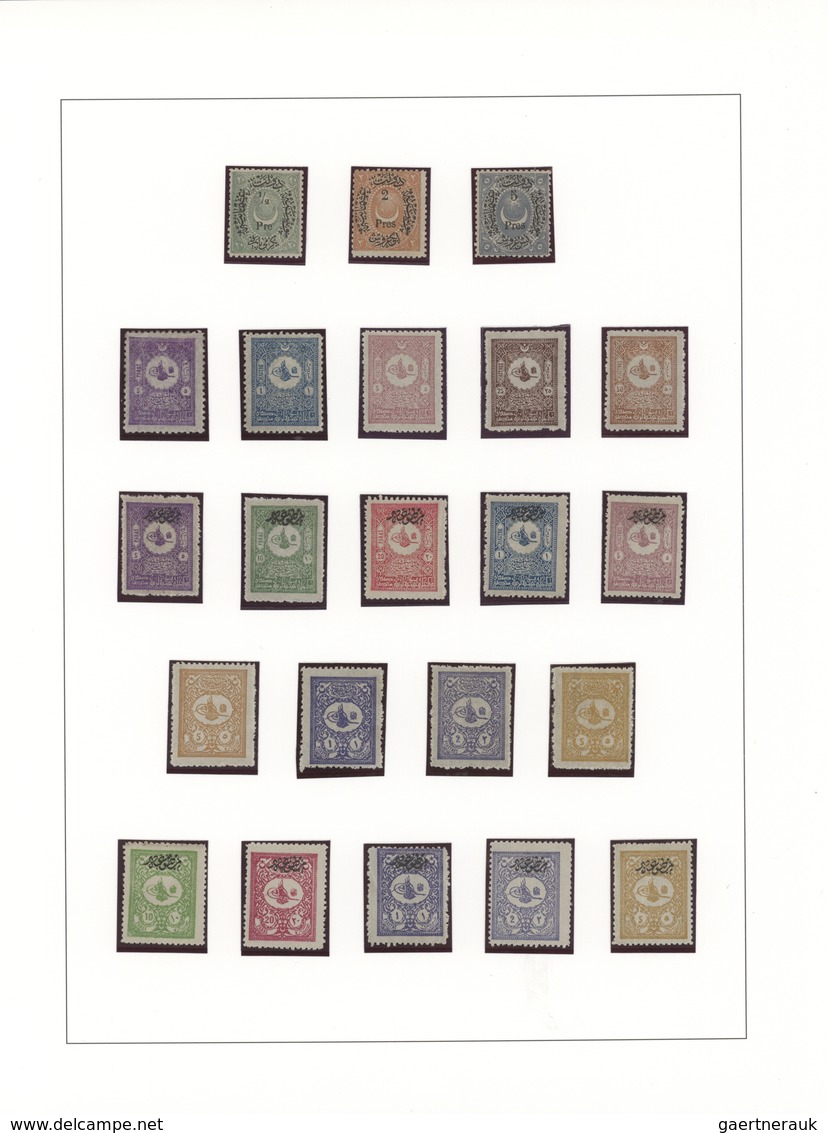 Türkei: 1876/1921, A Splendid Mint Collection Neatly Arranged On Album Pages, Well Collected Through - Used Stamps