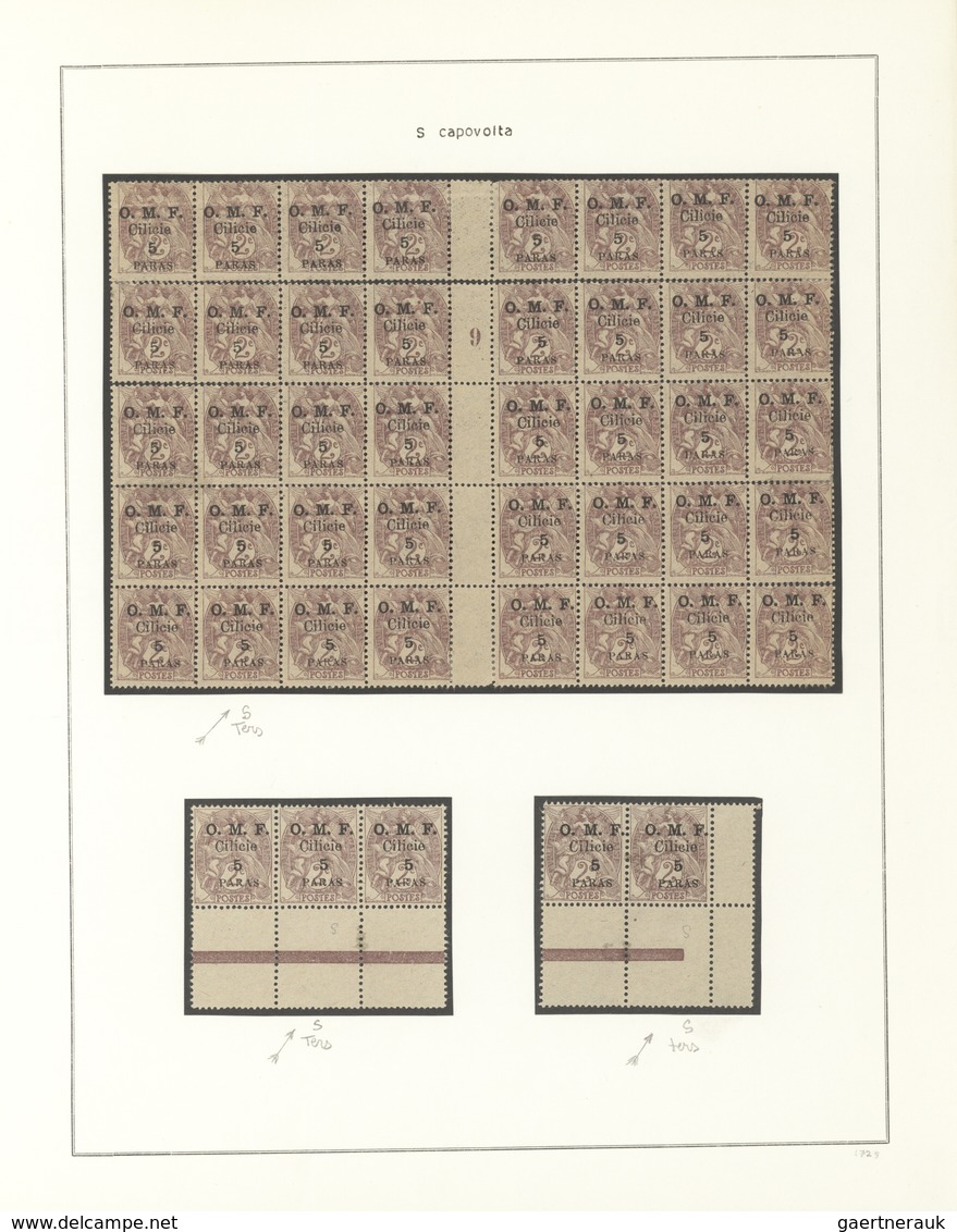 Türkei - Cilicien: 1920, Deeply Specialised Collection Of Apprx. 550 Stamps (overprints On Turkey Ci - 1920-21 Anatolie