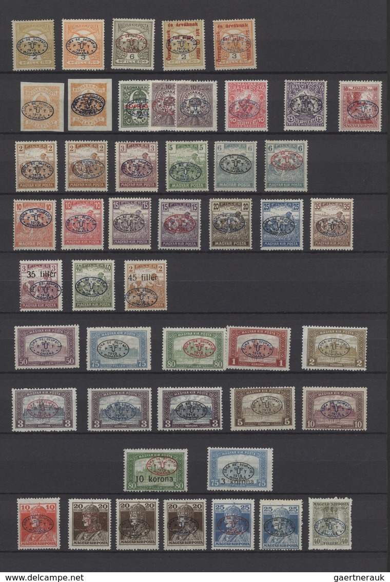 Ungarn - Besetzte Gebiete: Debrecen (Debreczin): 1919/1920, Mint Collection Of More Than 150 Stamps, - Debreczen