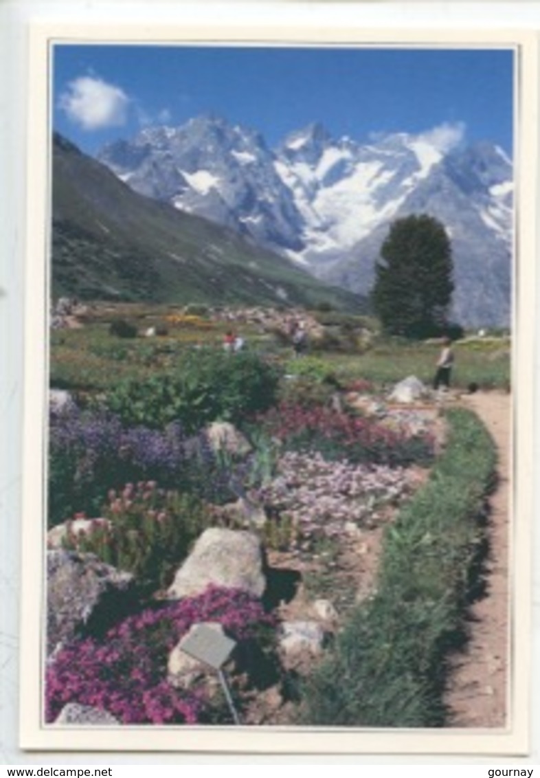 Environs De Briançon : Col Du Lautaret, Jardin Alpin (cp Vierge N°8012 Agep) - Briancon