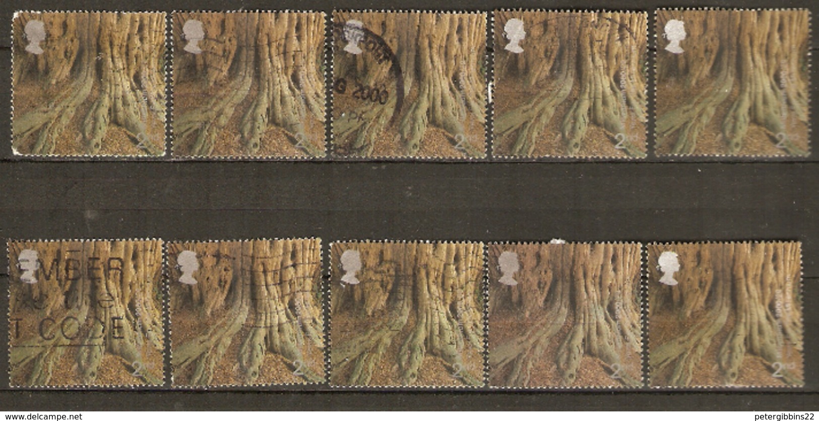 Great  Britain 2000  SG 2156  Tree Trunks   Good  To Fine Used  X 10 - Usati
