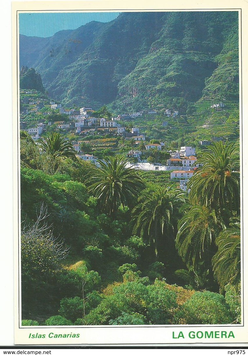 Espagne Islas Canarias Hermigua Exuberante  Naturaleza En El Valle  Petit Village - Autres & Non Classés