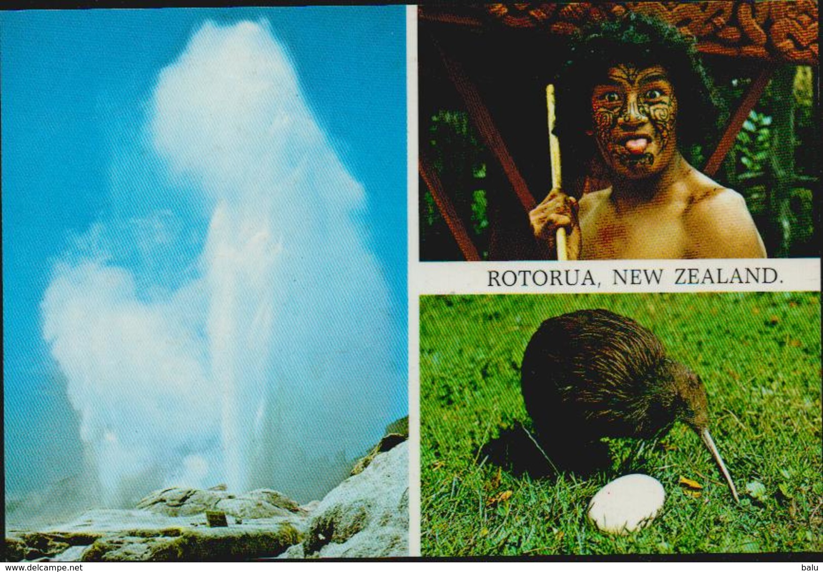 MBK Rotorua, New Zealand. Postalisch 1994 Nach Düsseldorf. Centenary Of Cricket 1895-1995. 2 Scans - Neuseeland