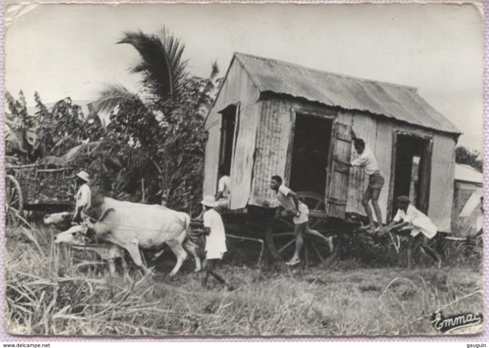 CPSM - GUADELOUPE - Déplacement De Maison - Edition Emmac (léger Pli Coin Inf.) - Autres & Non Classés