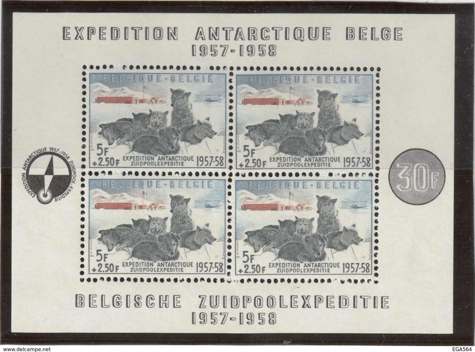 VV2 - BELGIQUE POLAIRE - BF 31 ** MNH De 1957 - CHIENS De TRAINEAUX - - Ungebraucht