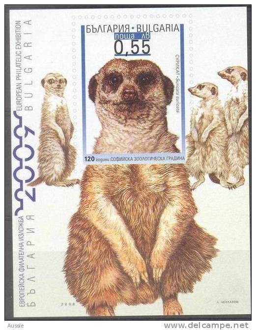 Bulgarie Bugaria  2008  Yvertn°  Bloc  244 *** MNH Cote 27 Euro Faune - Blocs-feuillets