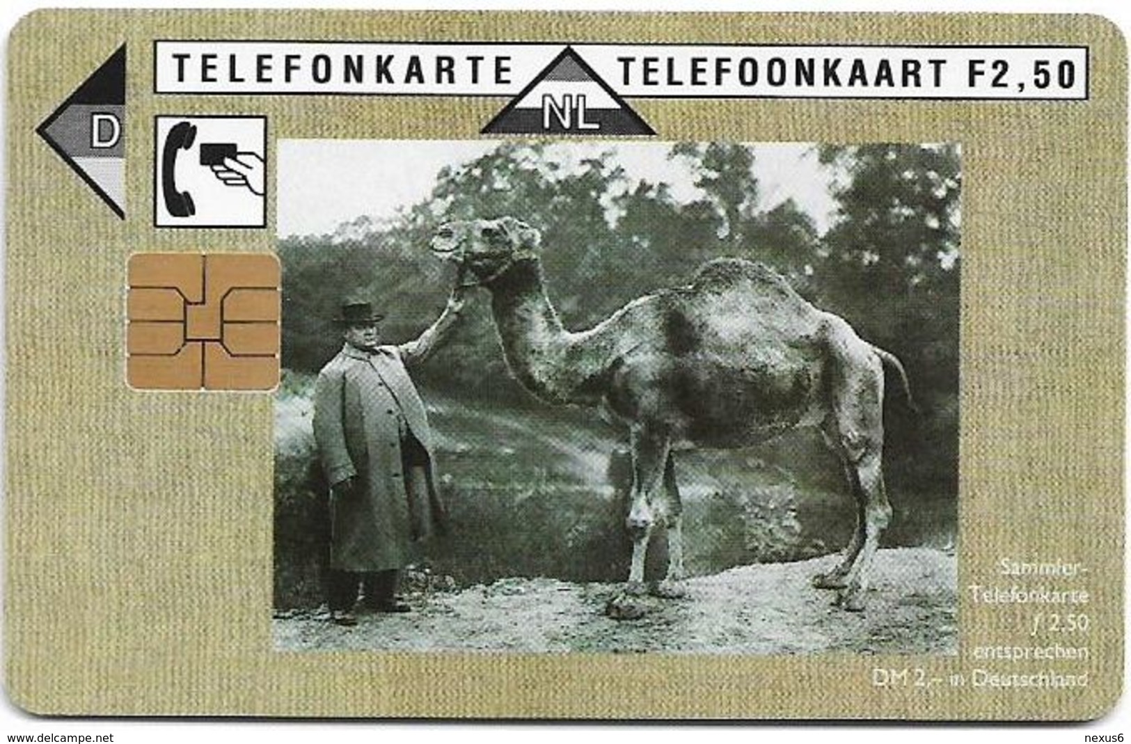 Netherlands/Germany (Cooperation) - Camel... Are My Choice, 2.5ƒ, 07.1994, 12.000ex, Mint - Private