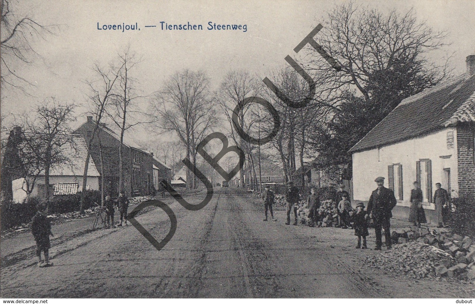 Postkaart-Carte Postale LOVENJOEL/BIERBEEK Tienschen Steenweg - Tiensesteenweg (L142) - Bierbeek