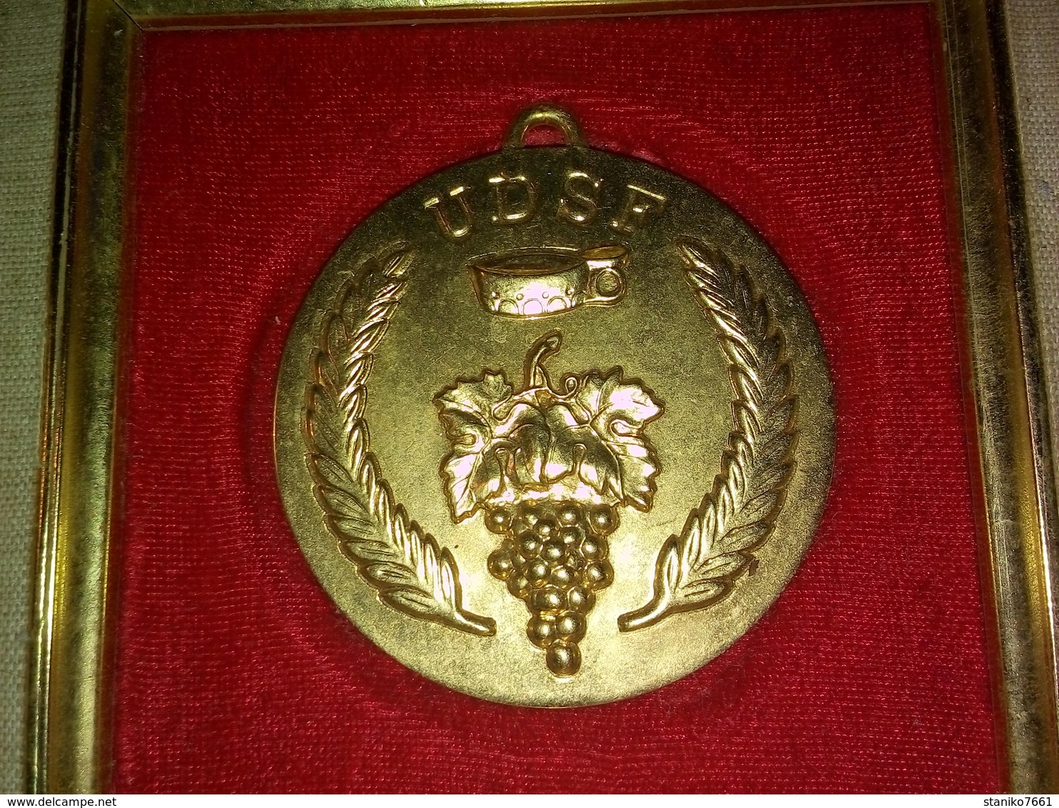 GROSSE MÉDAILLE ENCADRÉE  UDSF Union De La Sommellerie Française  GRAPPE DE RAISIN   70 Mm - Sonstige & Ohne Zuordnung