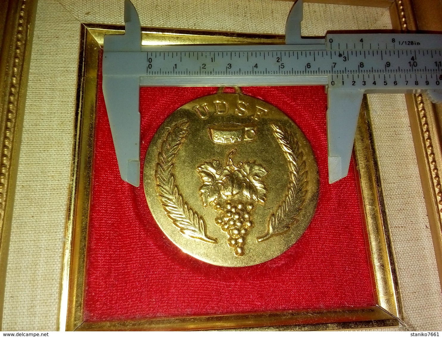 GROSSE MÉDAILLE ENCADRÉE  UDSF Union De La Sommellerie Française  GRAPPE DE RAISIN   70 Mm - Autres & Non Classés