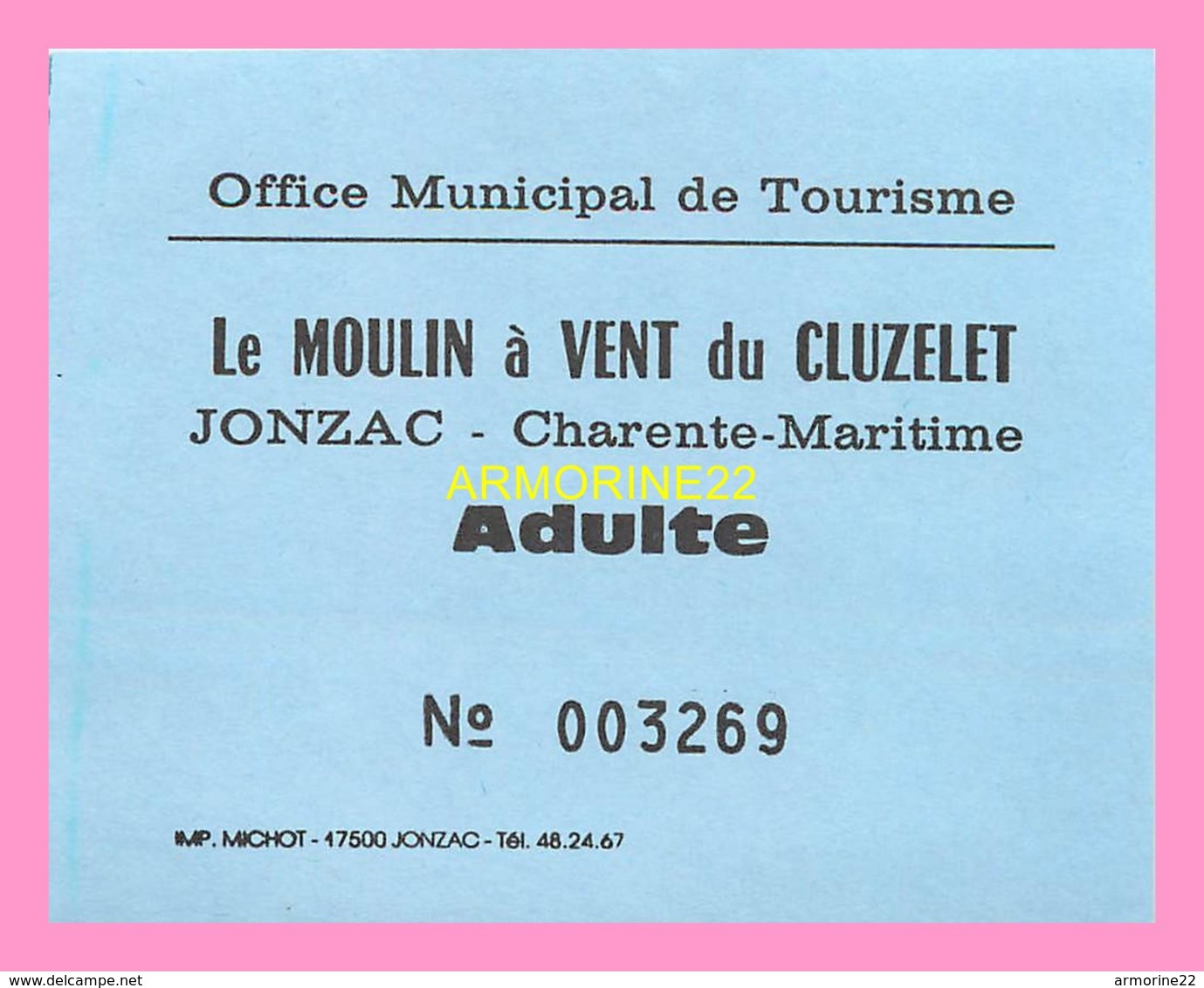 TICKET   D ENTREE Du Moulin A Vent Du Cluzelet à JONZAC - Tickets D'entrée