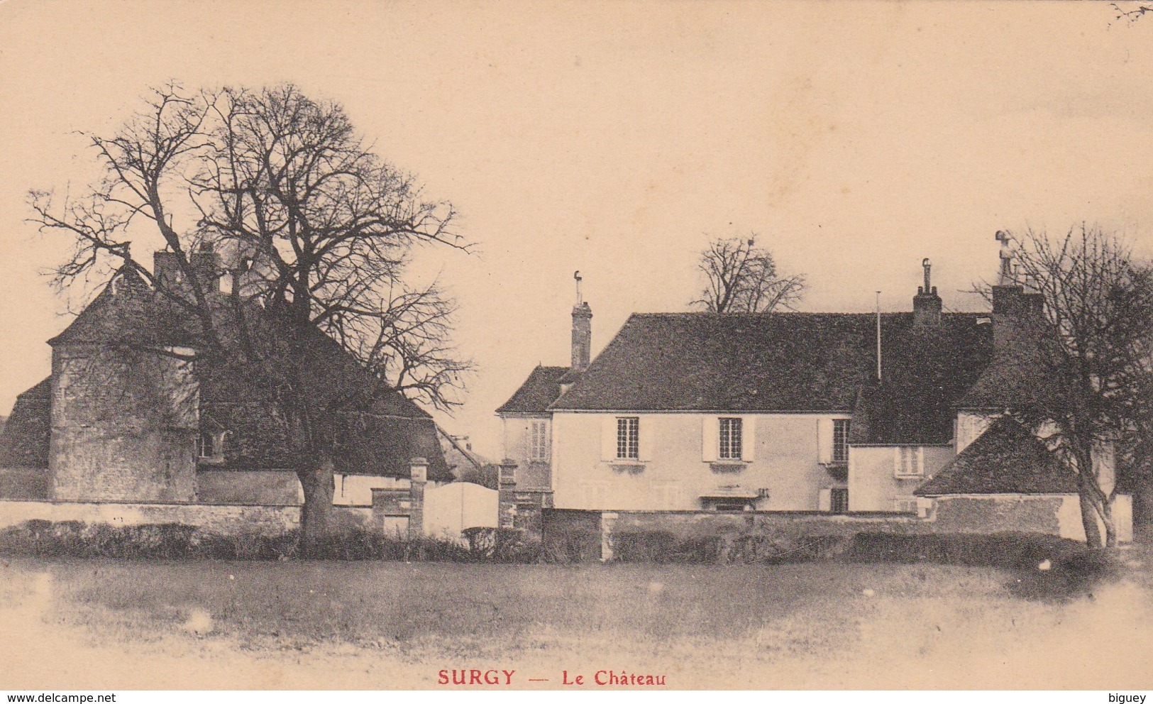 58 - SURGY - Le Château. - Autres & Non Classés