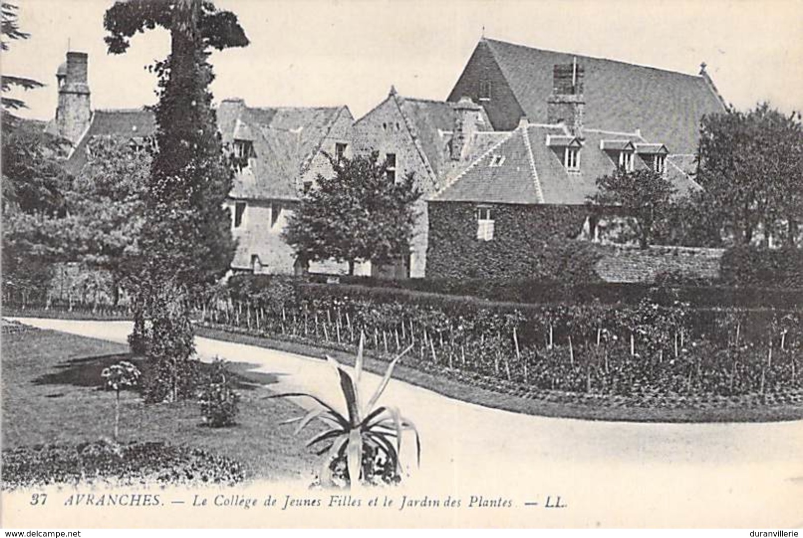 50 - Avranches - Le Collège Des Jeunes Filles Et Le Jardin Des Plantes - Avranches