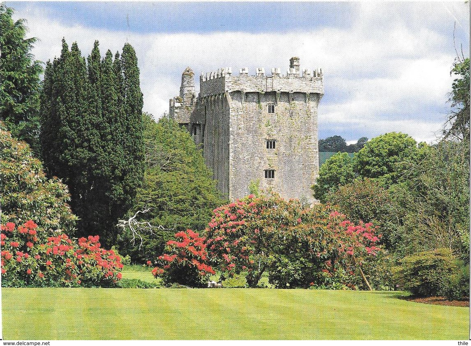 Blarney Castle - Château - Cork