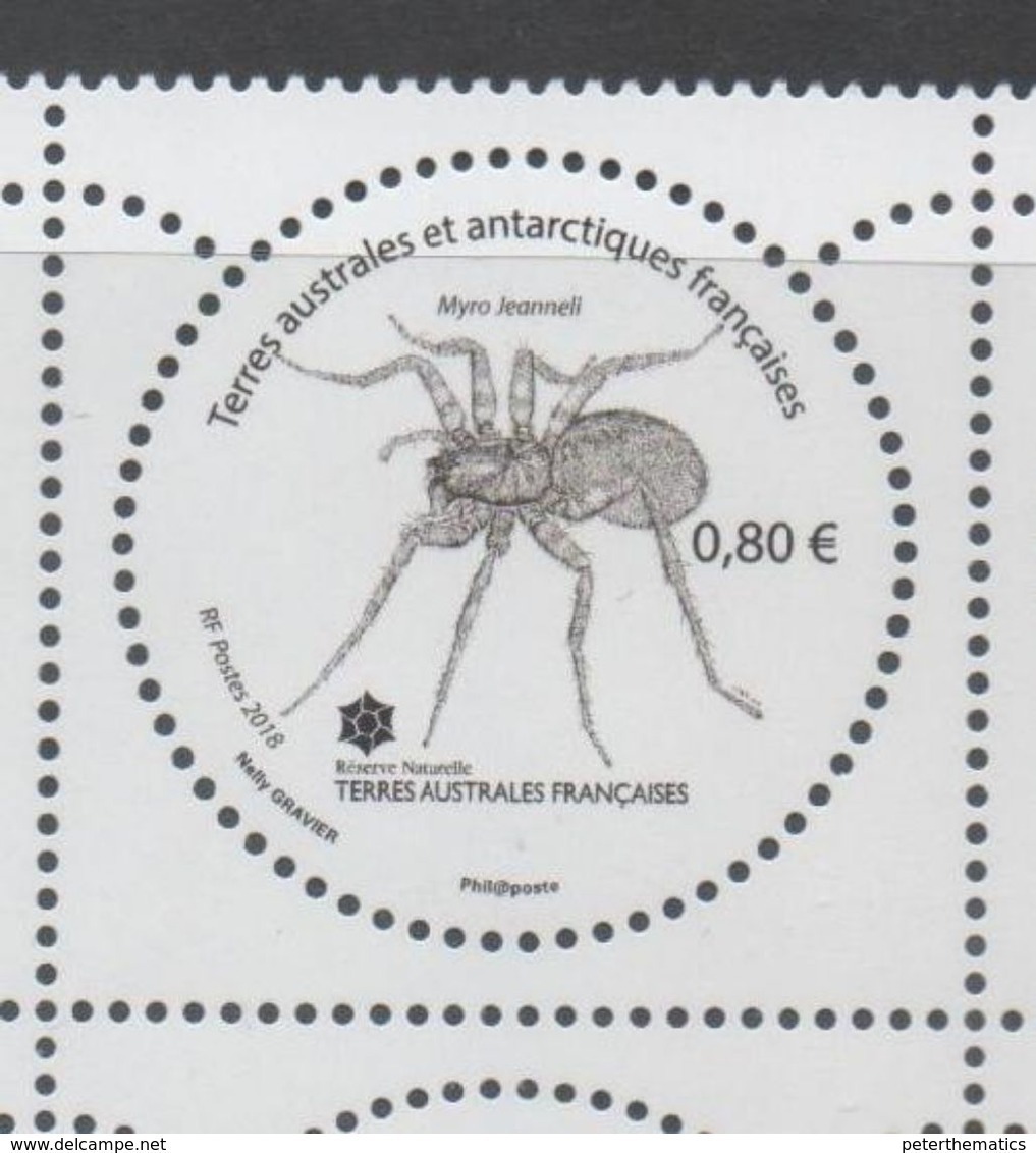 TAAF, FRENCH ANTARCTIC, 2018, MNH , SPIDERS, 1v - Spinnen