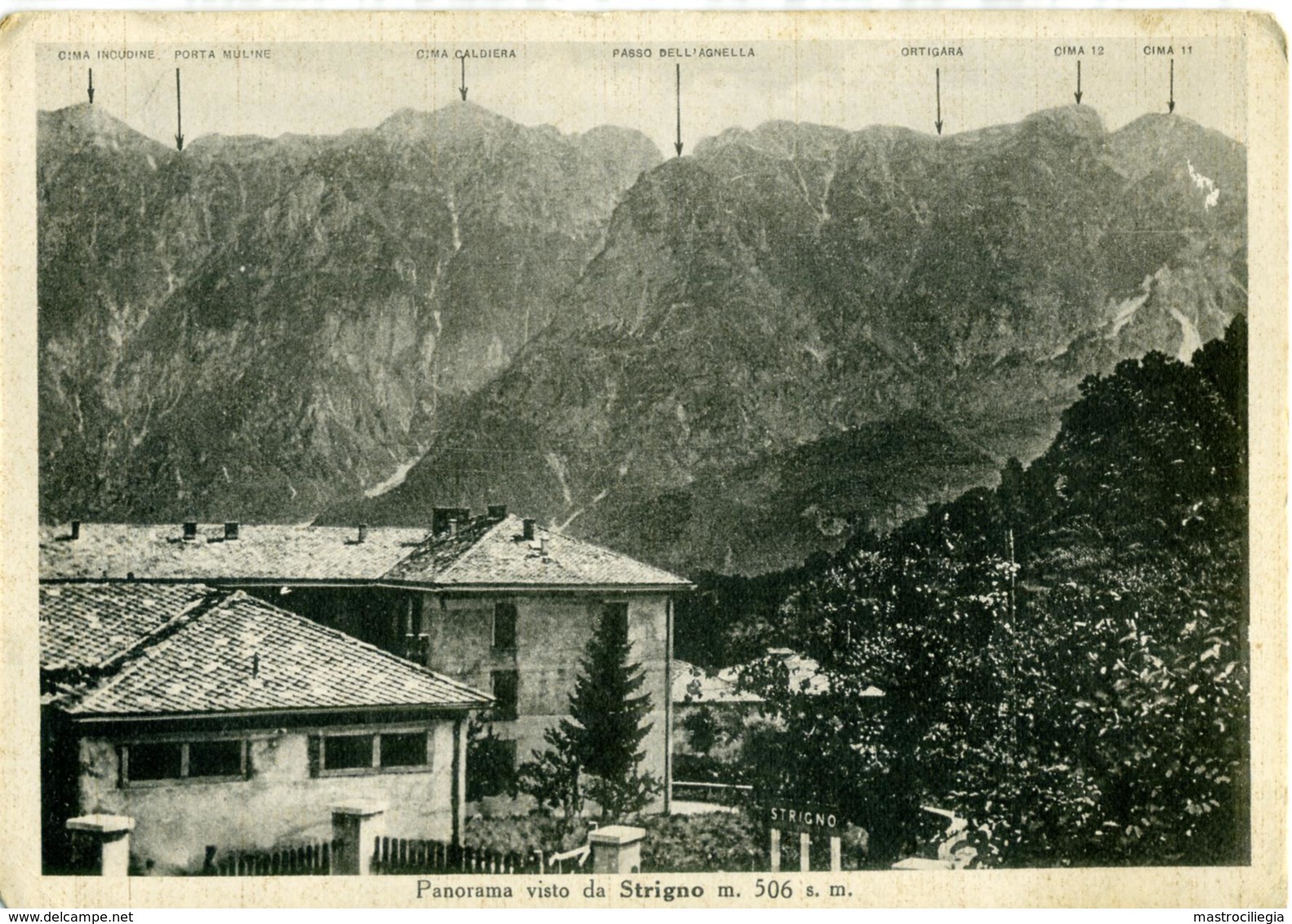 STRIGNO  CASTEL IVANO  TRENTO  Valsugana  Panorama Delle Cime Incudine Caldiera Ortigara Cima 11 E 12 - Trento