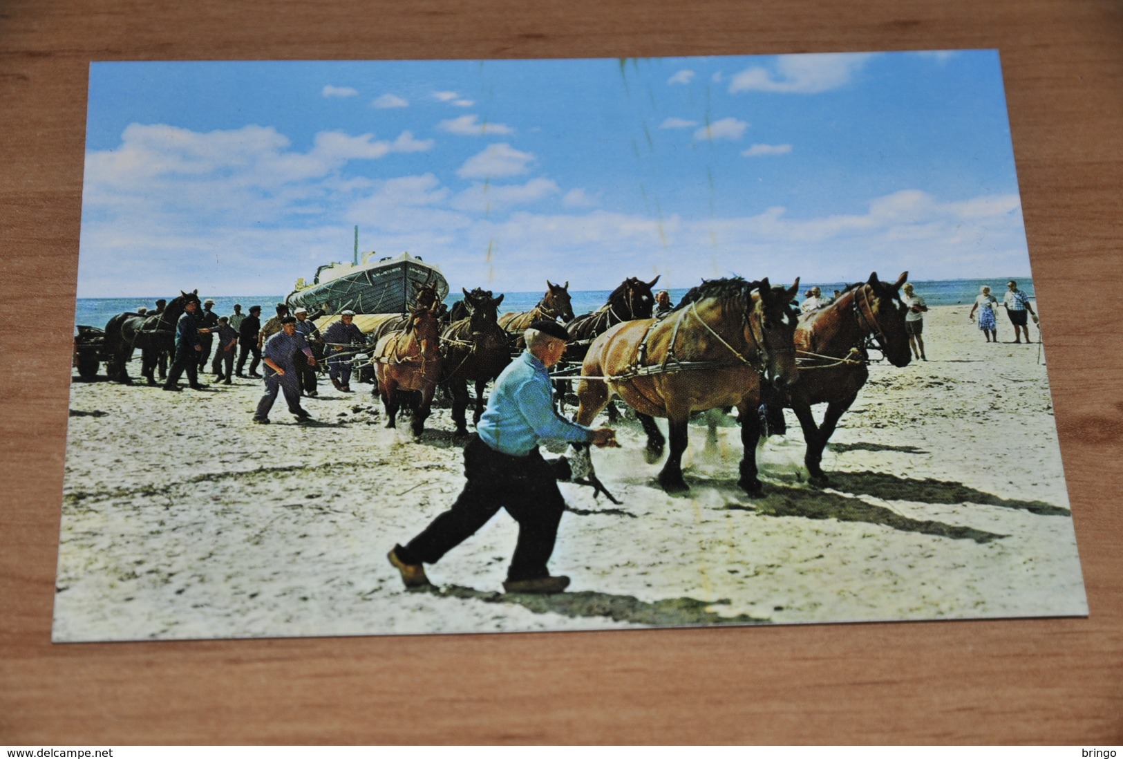 7507-  AMELAND, HOLLUM, REDDINGSBOOT / HORSE, HORSES, PAARDEN, PFERDE, CHEVAUX, CABALLOS - Ameland