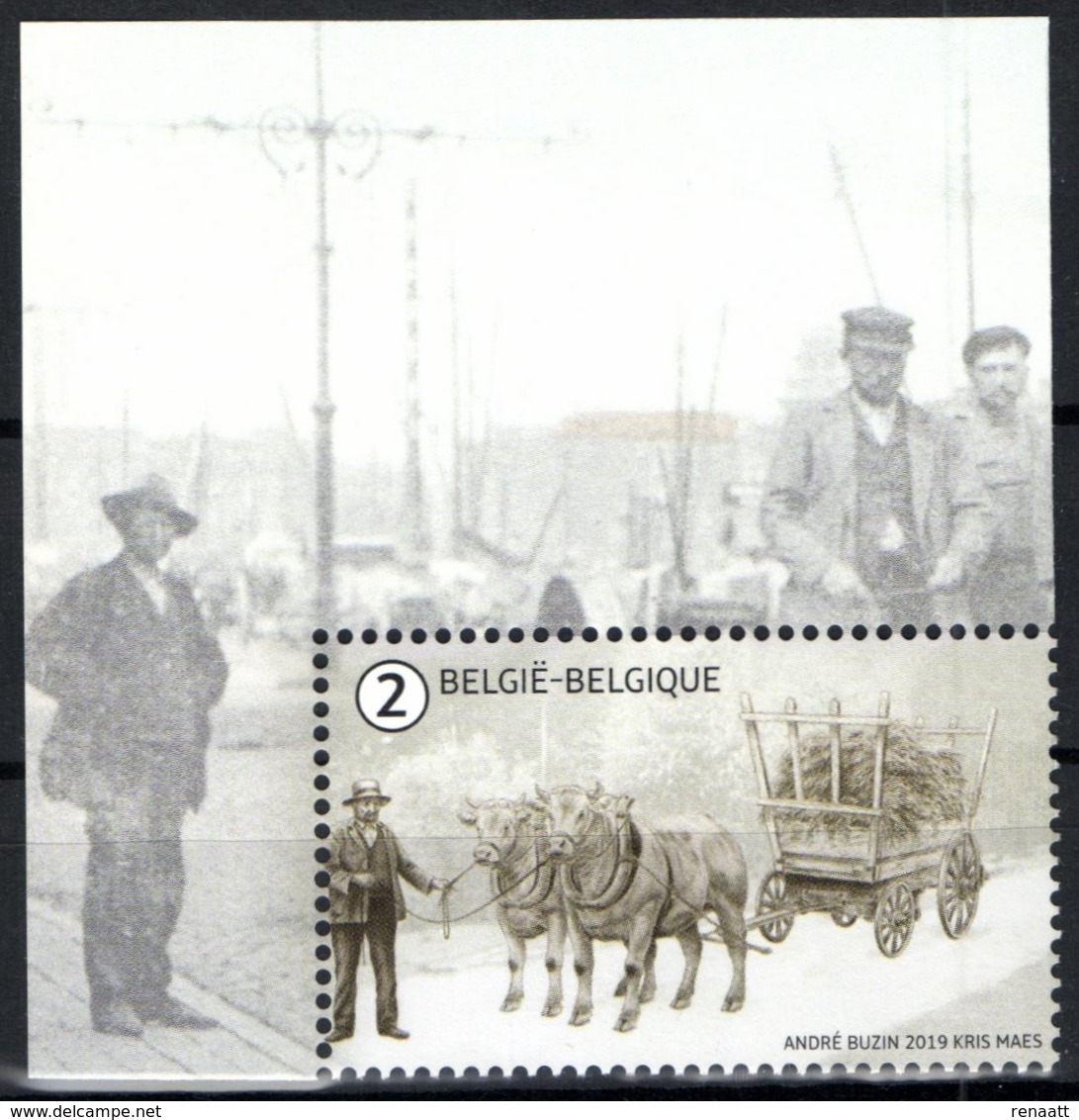 Belgium 2019 MNH, Animals At Work, Ox Bullock, Boeuf, Ochse, Os - Vaches