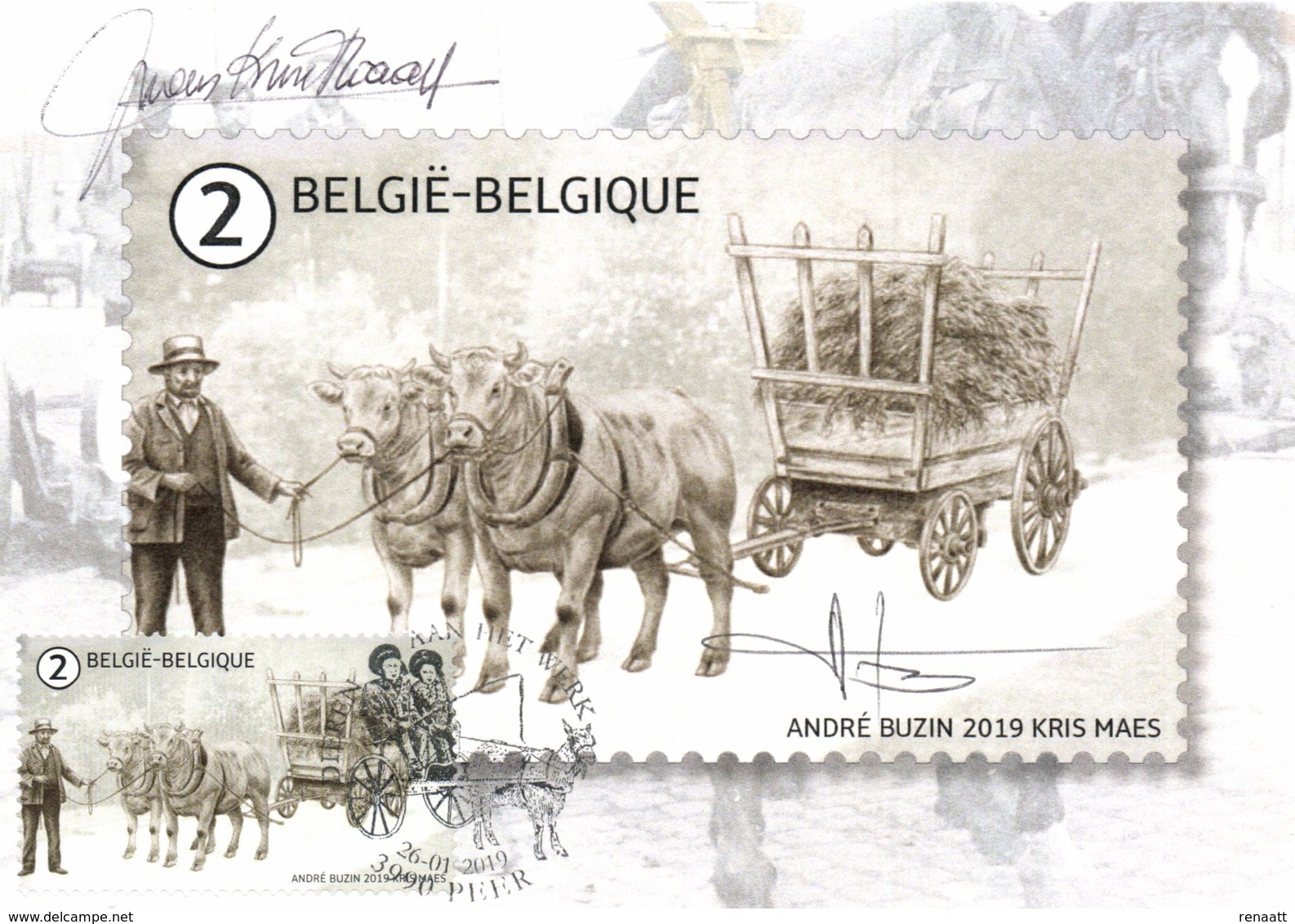 Belgium 2019 MC MC Maximum Card Signed By The Designers, Animals At Work, Ox Bullock, Boeuf, Ochse, Os - Cows