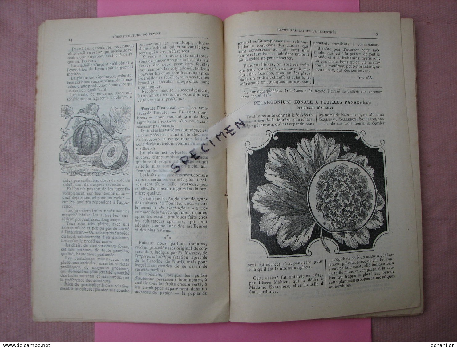 Horticulture Poitevine 1896 Gros Catalogue 160 Pages Arboriculture Et Floriculture Nombreux Clichés.  TBE - Altri & Non Classificati