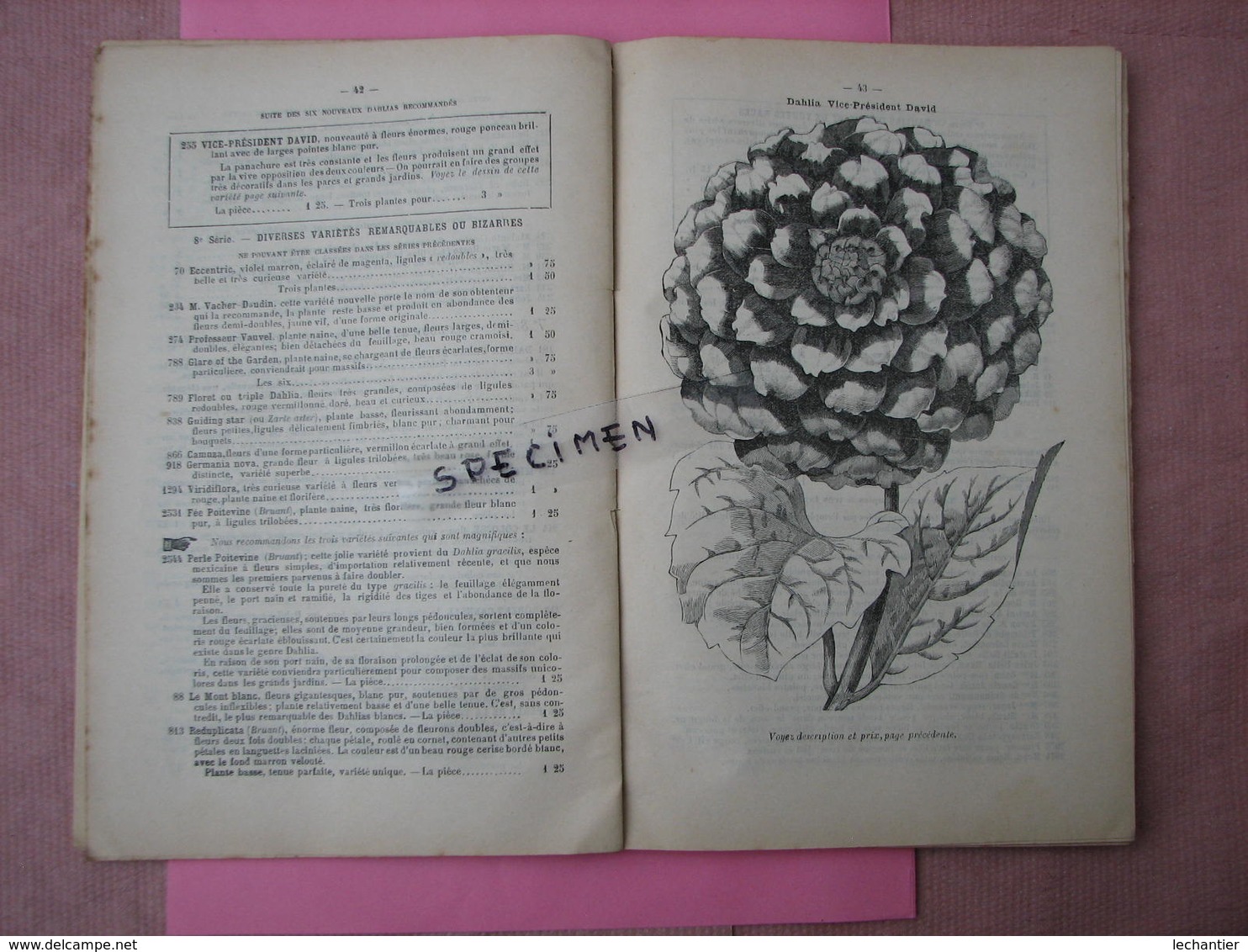 Horticulture Poitevine 1896 Gros Catalogue 160 Pages Arboriculture Et Floriculture Nombreux Clichés.  TBE - Autres & Non Classés