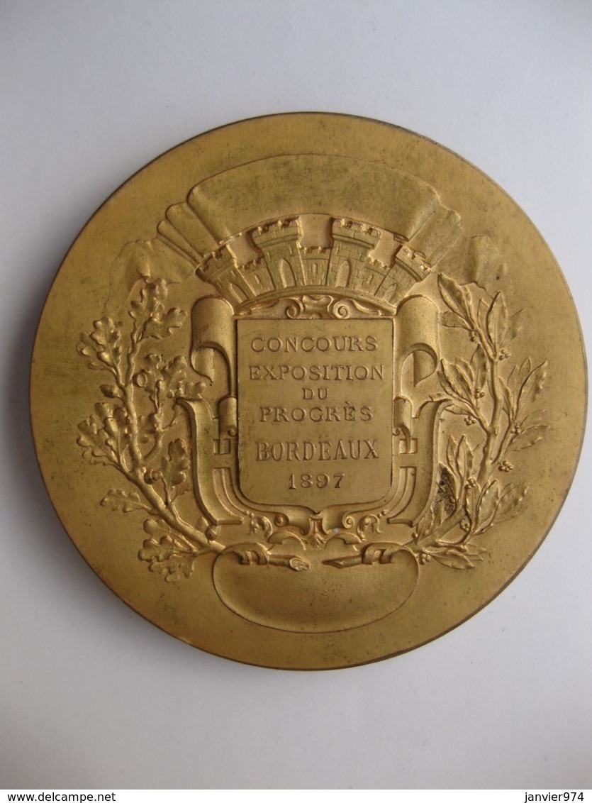 Médaille Concours Exposition Du Progrès Bordeaux 1897 Par Rivet. - Autres & Non Classés