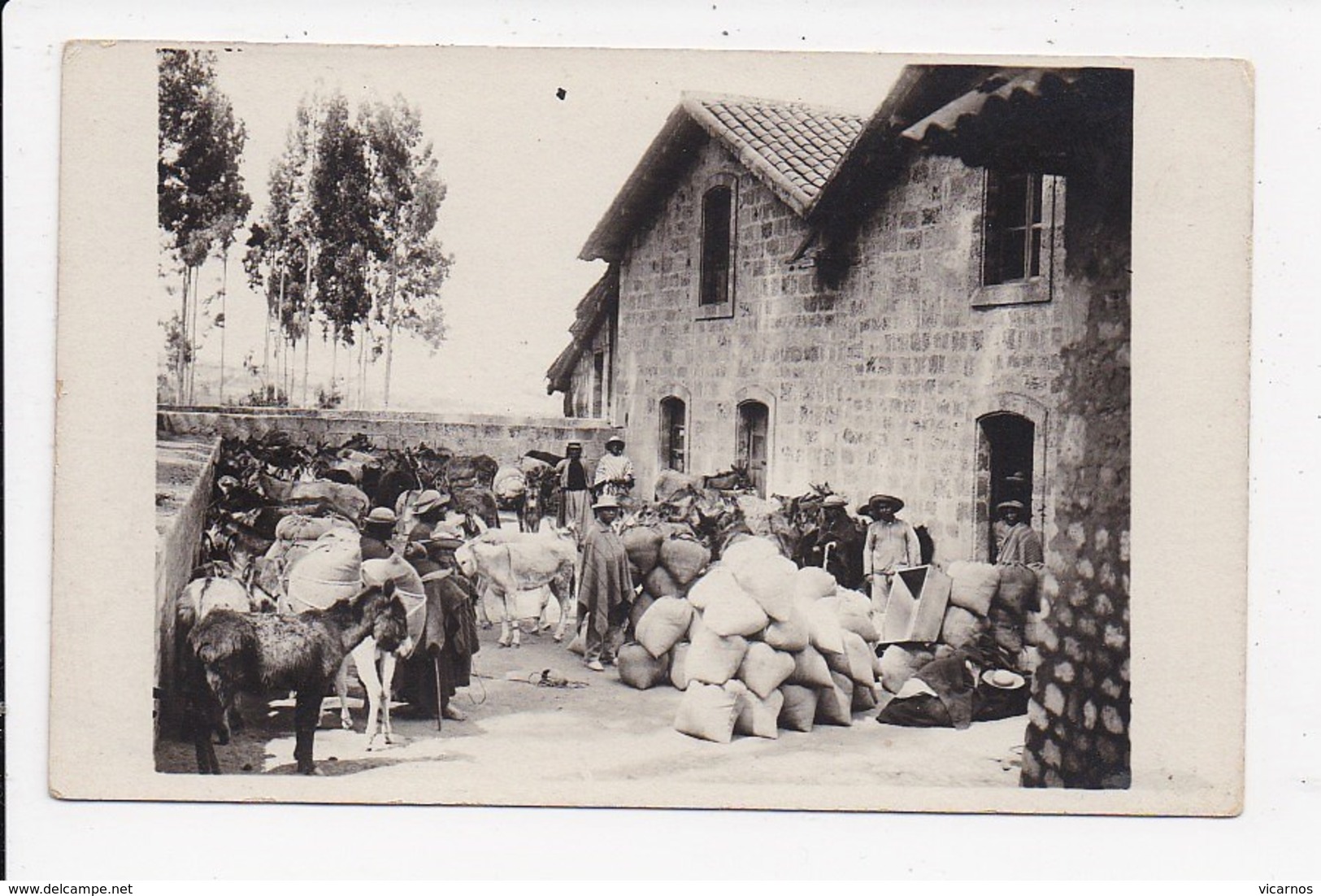 CARTE PHOTO EQUATEUR Moulin "Poulier" à Catacunga Dept De Leon - Ecuador