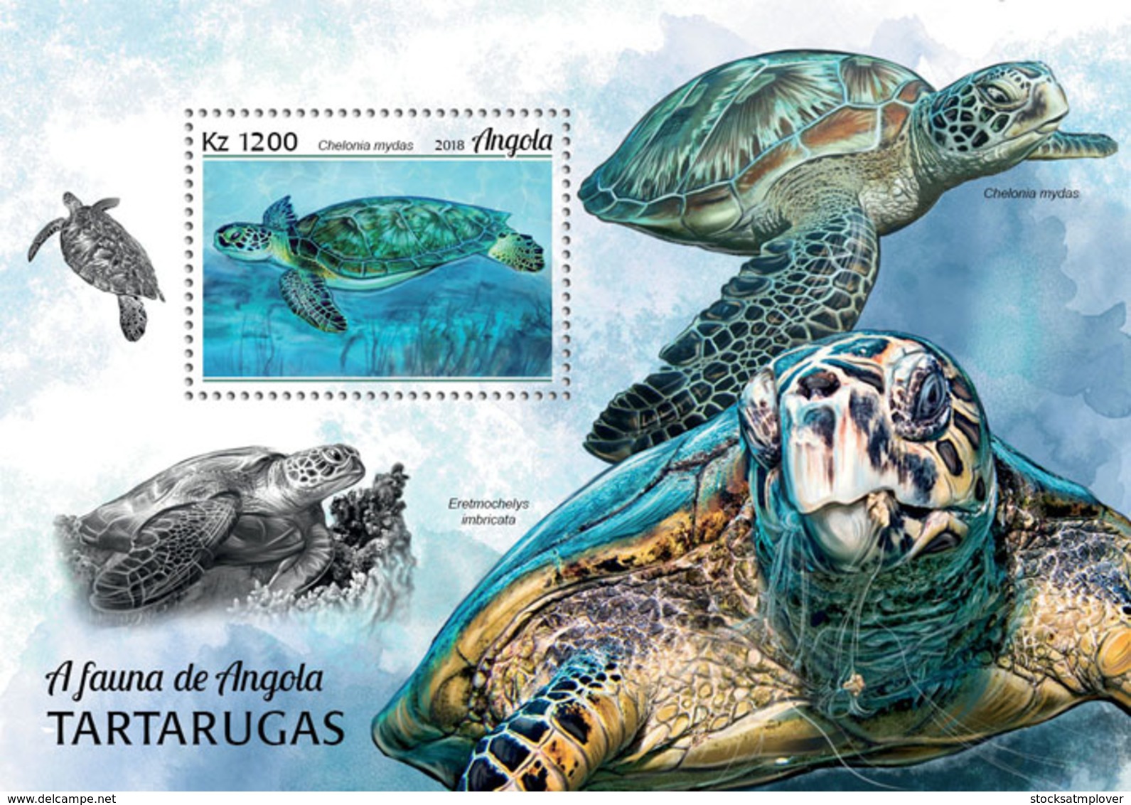 Angola 2018  Fauna   Turtles S201812 - Angola