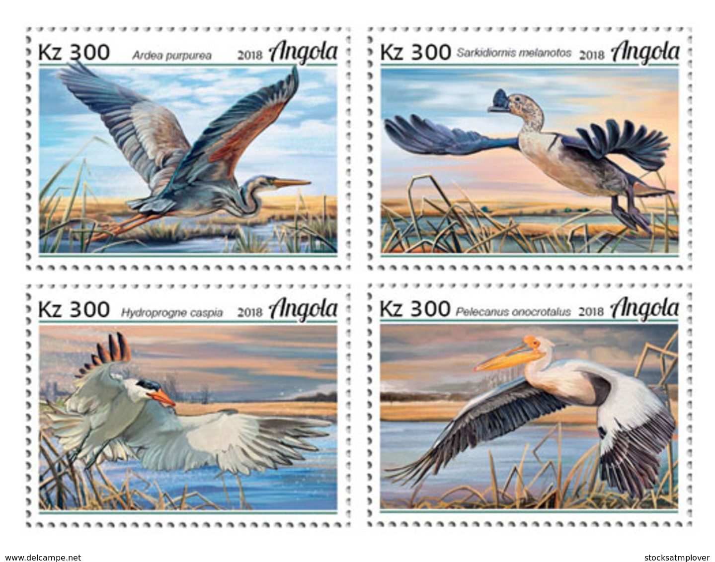 Angola 2018  Fauna Water Birds  S201812 - Angola