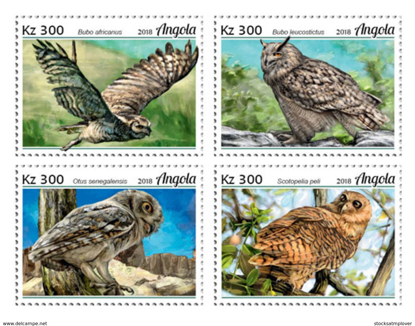Angola 2018  Fauna  Owls  S201812 - Angola
