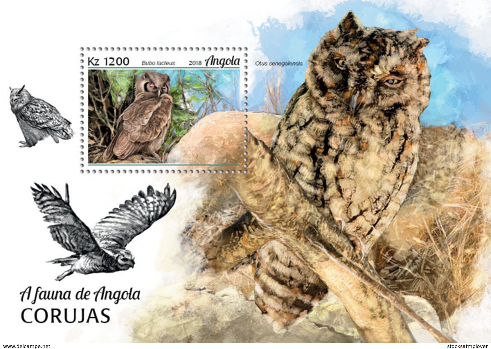 Angola 2018  Fauna  Owls  S201812 - Angola