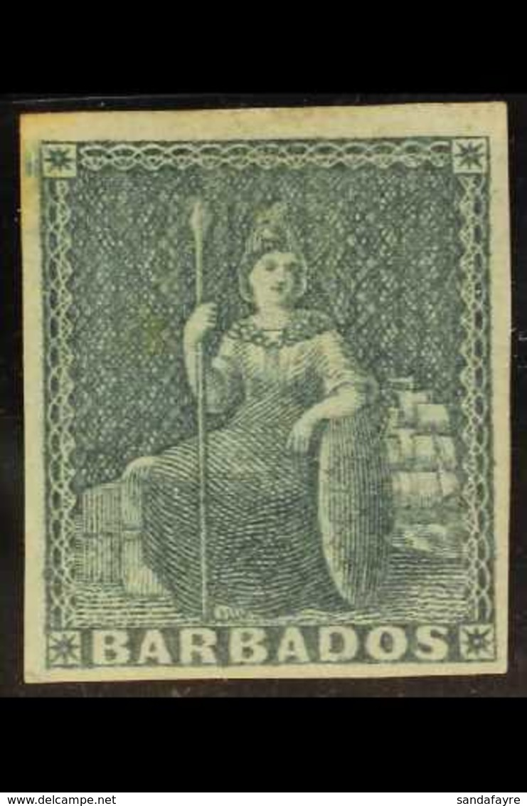 BARBADOS - Barbados (...-1966)