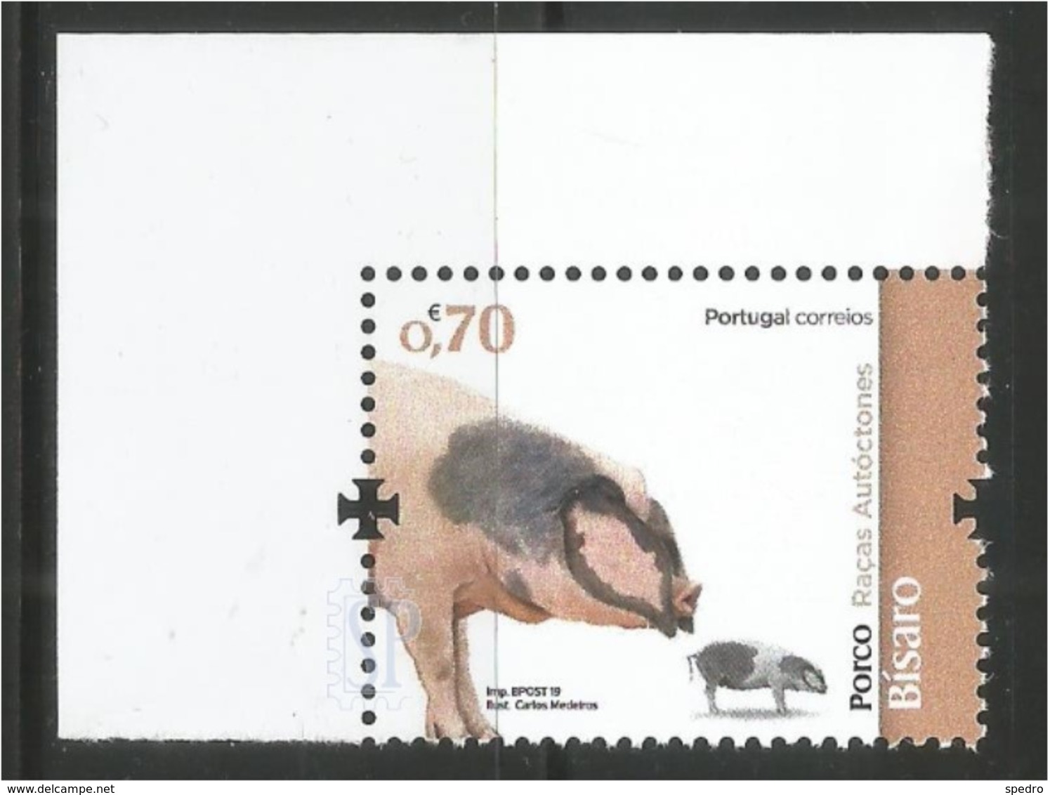 Portugal 2019 Raças Autóctones Porco Bísaro Mamífero Mammifères Mammal Cochon Varken Cerdo Pig Corner - Otros & Sin Clasificación