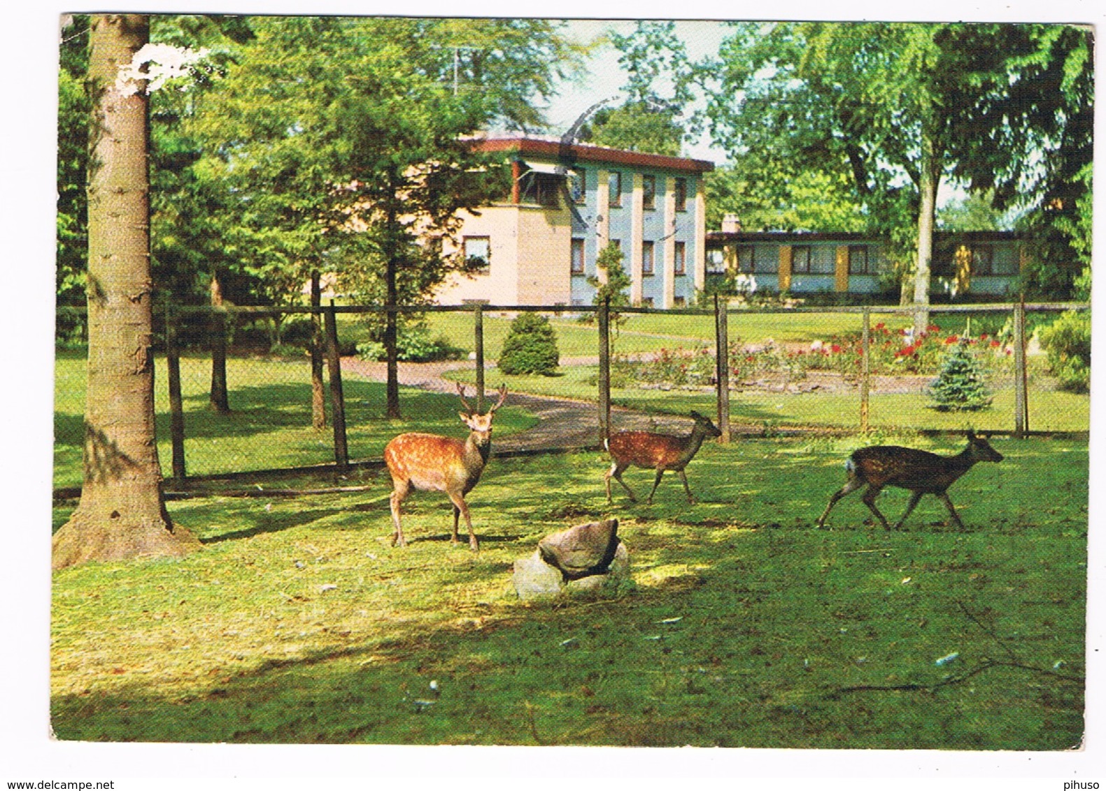 SC-1770  ODENSE :Motel Brasilia ( With Deer Park, Hertenpark) - Danemark