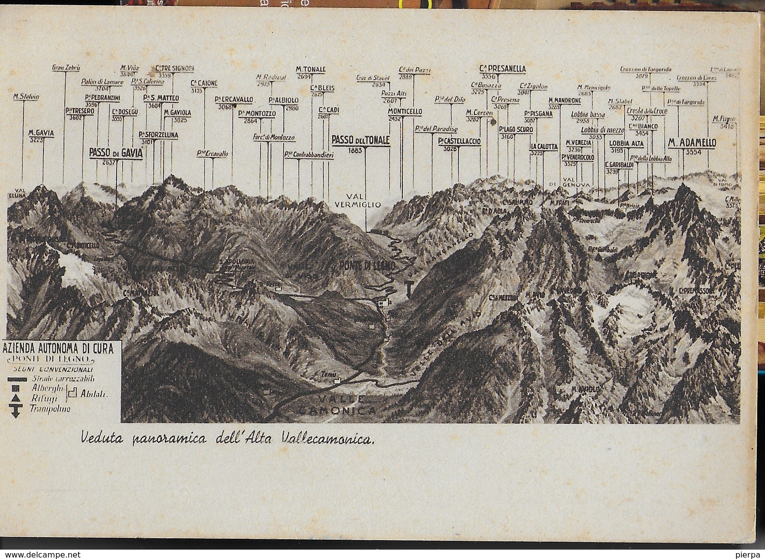 VEDUTA PANORAMICA DELL'ALTA VALLECAMONICA - EDIZ. CAPELLO MILANO - NUOVA - Alpinisme